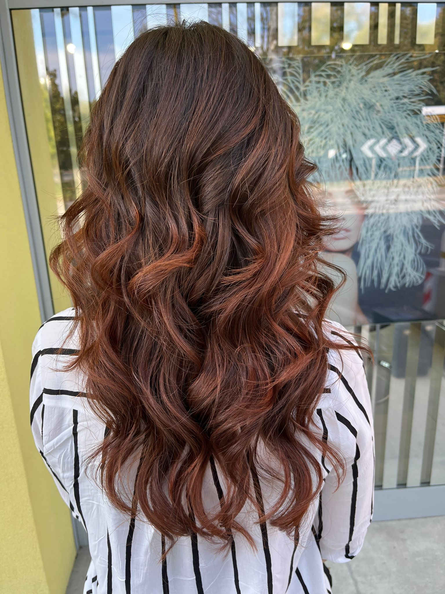 WhatsApp Image 2022-10-27 at 09.31.50